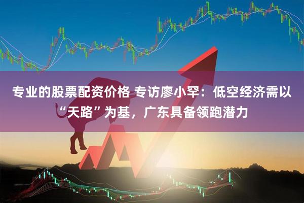 专业的股票配资价格 专访廖小罕：低空经济需以“天路”为基，广东具备领跑潜力